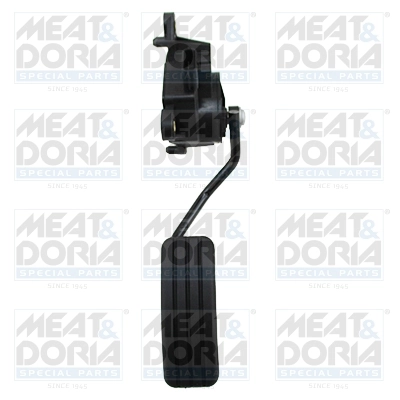 Accelerator Pedal Unit